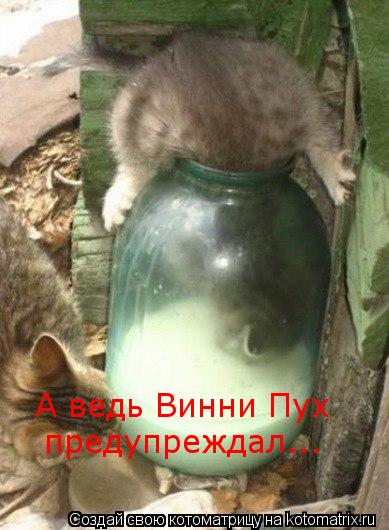 Котоматрица: А ведь Винни Пух предупреждал...