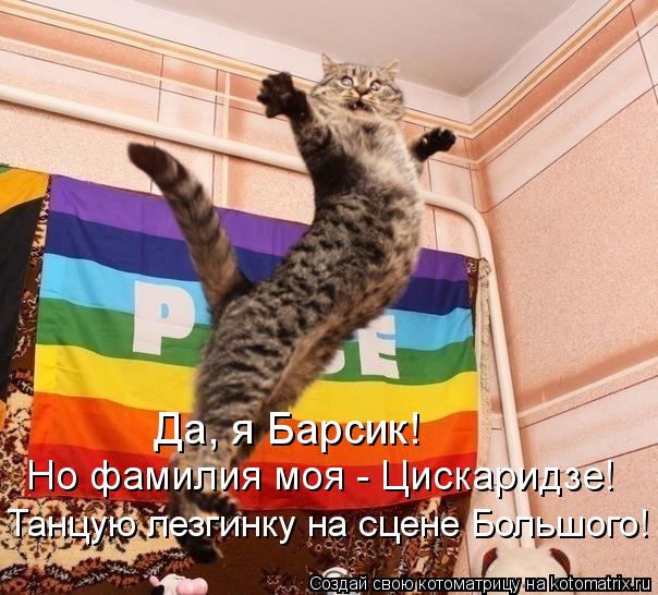 Котоматрица: Да, я Барсик! Но фамилия моя - Цискаридзе! Танцую лезгинку на сцене Большого!