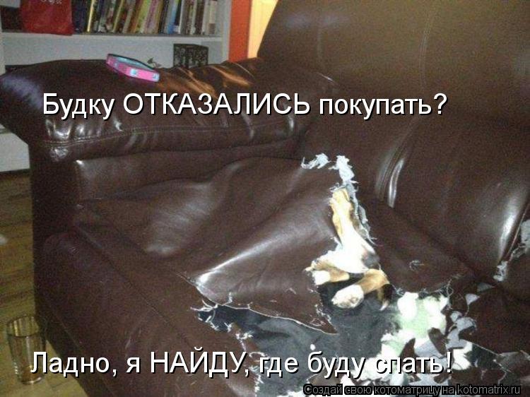 Будку ОТКАЗАЛИСЬ покупать? Ладно, я НАЙДУ, где буду спать!... Котоматрица: Будку ОТКАЗАЛИСЬ покупать? Ладно, я НАЙДУ, где буду спать!