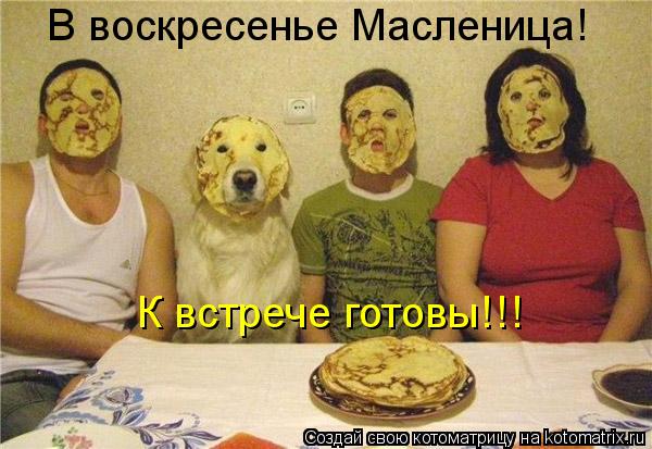 Котоматрица: В воскресенье Масленица! К встрече готовы!!!
