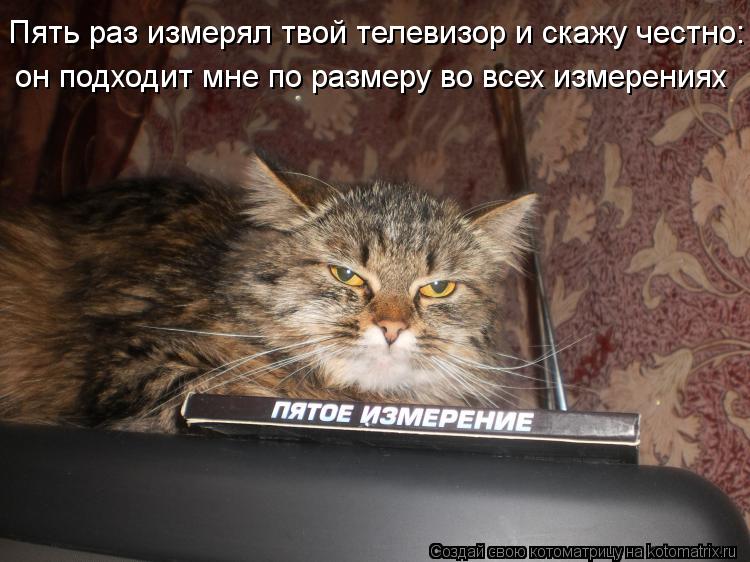 Котоматрица: Пять раз измерял твой телевизор и скажу честно: он подходит мне по размеру во всех измерениях