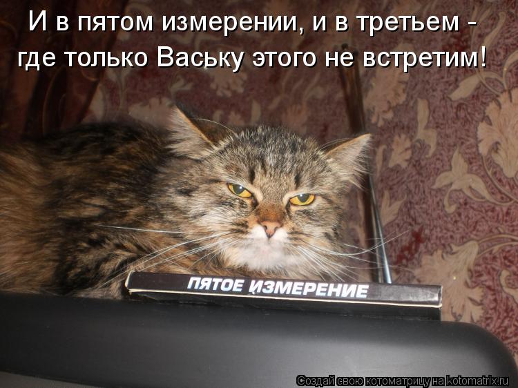 Котоматрица: И в пятом измерении, и в третьем - где только Ваську этого не встретим!