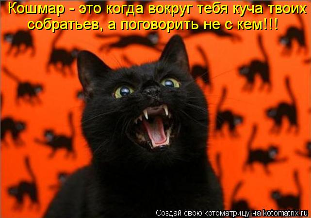 Котоматрица: Кошмар - это когда вокруг тебя куча твоих собратьев, а поговорить не с кем!!!