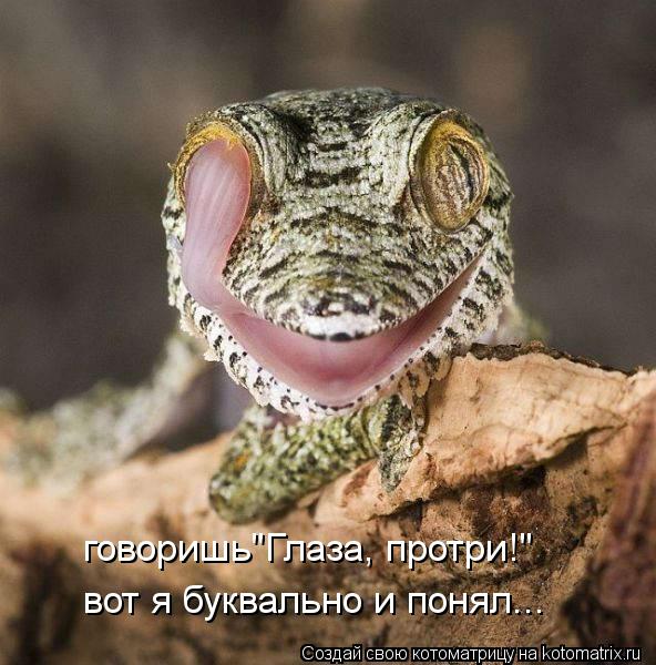 Котоматрица: говоришь"Глаза, протри!" вот я буквально и понял...
