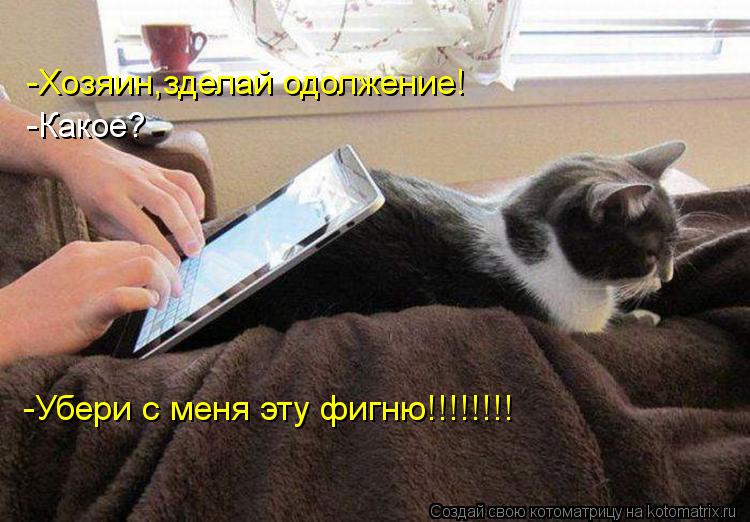-Хозяин,зделай одолжение! -Какое? -Убери с меня эту фигню!!!!!!!!... Котоматрица: -Хозяин,зделай одолжение! -Какое? -Убери с меня эту фигню!!!!!!!!