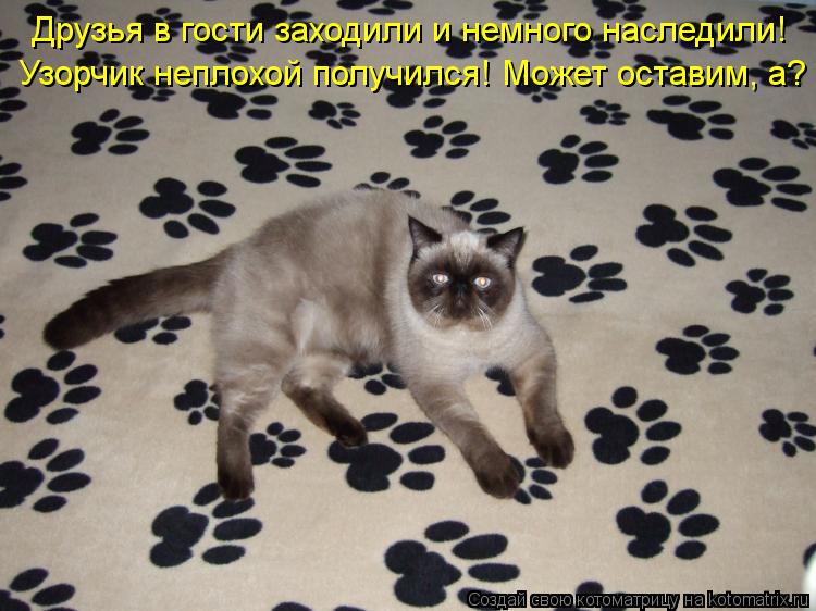Друзья в гости заходили и немного наследили! Узорчик неплохой получился! Может оставим, а?... Котоматрица: Друзья в гости заходили и немного наследили! Узорчик неплохой получился! Может оставим, а?