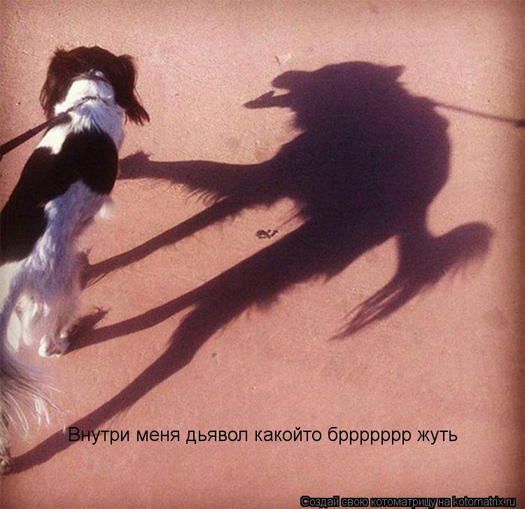 Котоматрица: Внутри меня дьявол какойто бррррррр жуть