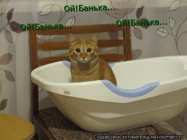 Ой!Банька... Ой!Банька... Ой!Банька...... Котоматрица: Ой!Банька... Ой!Банька... Ой!Банька...