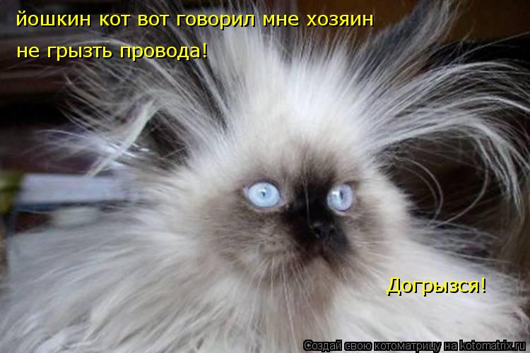 йошкин кот вот говорил мне хозяин не грызть провода! Догрызся!... Котоматрица: йошкин кот вот говорил мне хозяин не грызть провода! Догрызся!