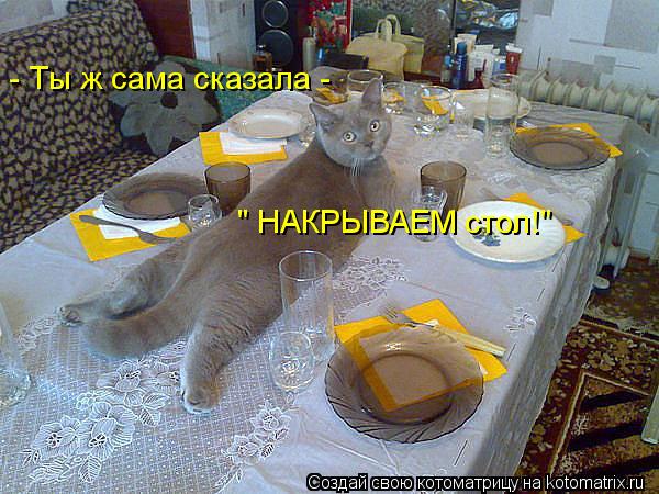 - Ты ж сама сказала - " НАКРЫВАЕМ стол!"... Котоматрица: - Ты ж сама сказала - " НАКРЫВАЕМ стол!"