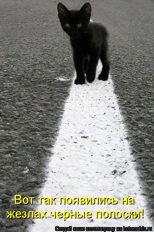 Вот так появились на жезлах черные полоски!... Котоматрица: Вот так появились на жезлах черные полоски!