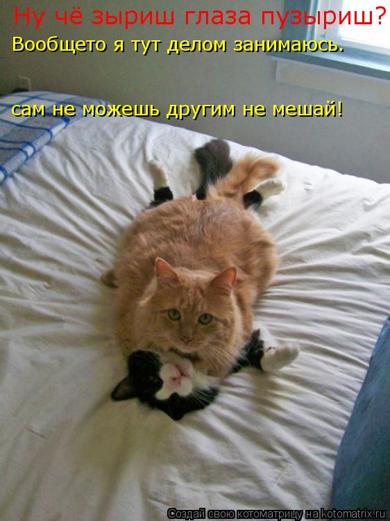 Котоматрица: Ну чё зыриш глаза пузыриш? Вообщето я тут делом занимаюсь. сам не можешь другим не мешай!
