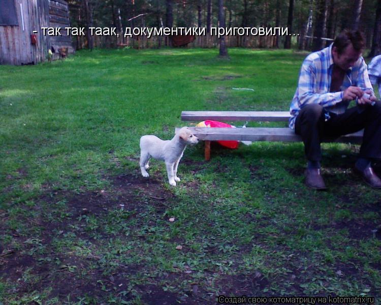 Котоматрица: - так так таак, документики приготовили...
