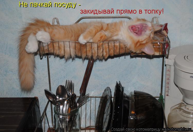Котоматрица: Не пачкай посуду - закидывай прямо в топку!