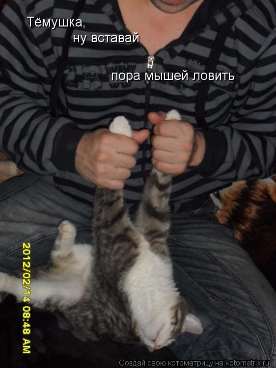 Котоматрица: Тёмушка,  ну вставай пора мышей ловить
