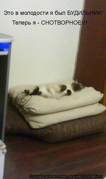 Котоматрица: Это в молодости я был БУДИЛЬНИК! Теперь я - СНОТВОРНОЕ!!!