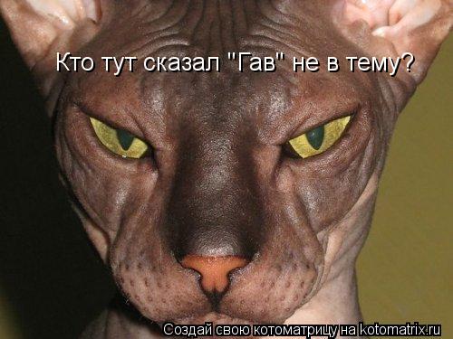 Котоматрица: Кто тут сказал "Гав" не в тему?