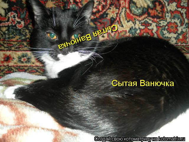 Котоматрица: Сытая Ванючка Сытая Ванючка