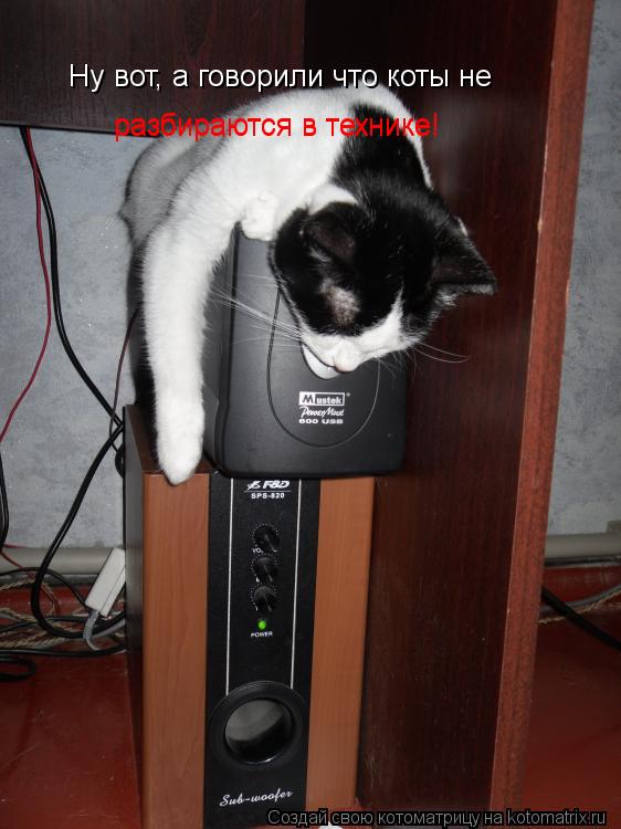 Котоматрица: Ну вот, а говорили что коты не разбираются в технике! разбираются в технике!