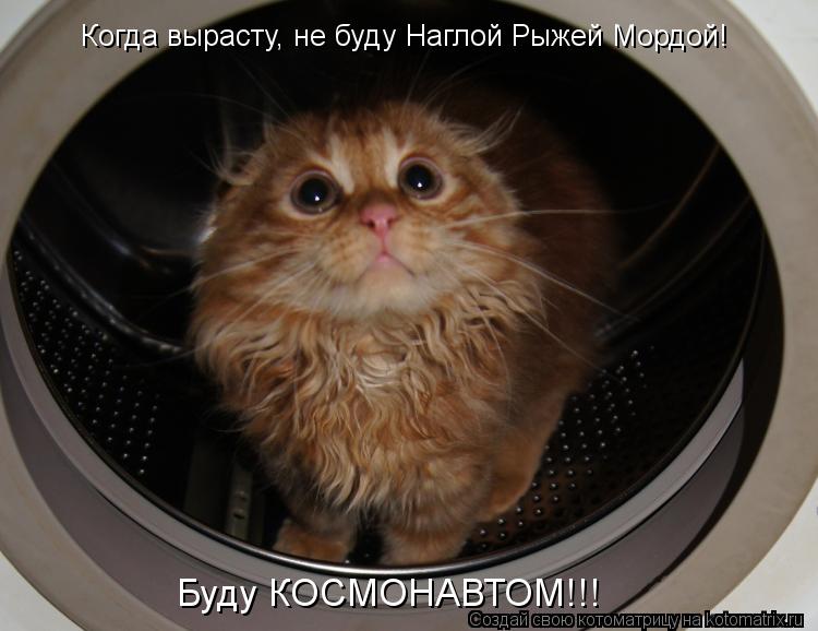 Котоматрица: Когда вырасту, не буду Наглой Рыжей Мордой! Буду КОСМОНАВТОМ!!!
