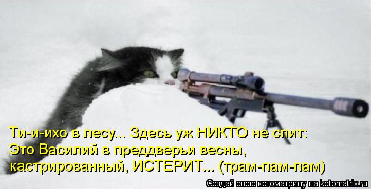 Ти-и-ихо в лесу... Здесь уж НИКТО не спит: Это Василий в преддверьи весны, кастрированный, ИСТЕРИТ..... Котоматрица: Ти-и-ихо в лесу... Здесь уж НИКТО не спит: Это Василий в преддверьи весны, кастрированный, ИСТЕРИТ... (трам-пам-пам)