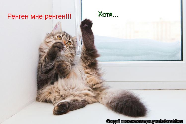 Ренген мне ренген!!! Хотя...... Котоматрица: Ренген мне ренген!!! Хотя...