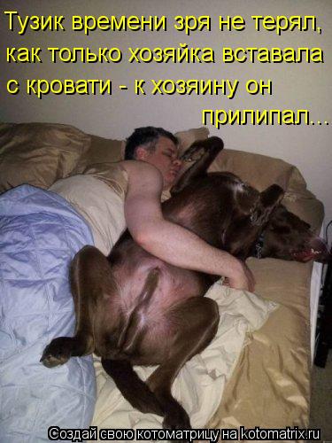 Тузик времени зря не терял, как только хозяйка вставала с кровати - к хозяину он прилипал...... Котоматрица: Тузик времени зря не терял, как только хозяйка вставала с кровати - к хозяину он прилипал...