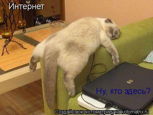 Ну, кто здесь? Интернет... Котоматрица: Ну, кто здесь? Интернет