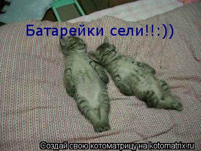 Батарейки сели!!:))... Котоматрица: Батарейки сели!!:))