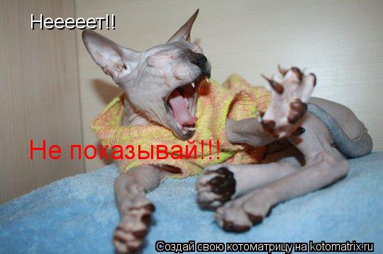 Нееееет!! Не показывай!!!... Котоматрица: Нееееет!! Не показывай!!!