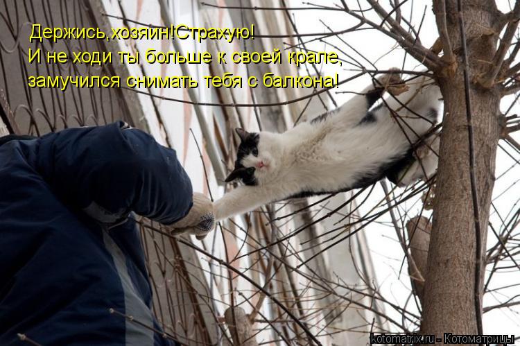 Держись,хозяин!Страхую! И не ходи ты больше к своей крале, замучился снимать тебя с балкона!... Котоматрица: Держись,хозяин!Страхую! И не ходи ты больше к своей крале, замучился снимать тебя с балкона!