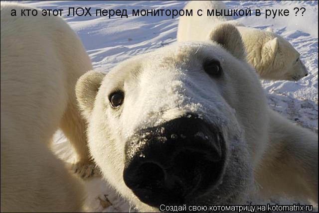 а кто этот ЛОХ перед монитором с мышкой в руке ??... Котоматрица: а кто этот ЛОХ перед монитором с мышкой в руке ??