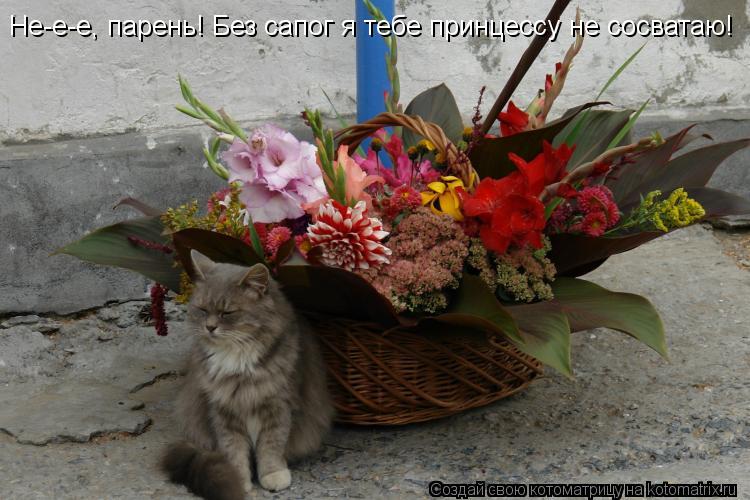 Не-е-е, парень! Без сапог я тебе принцессу не сосватаю!... Котоматрица: Не-е-е, парень! Без сапог я тебе принцессу не сосватаю!