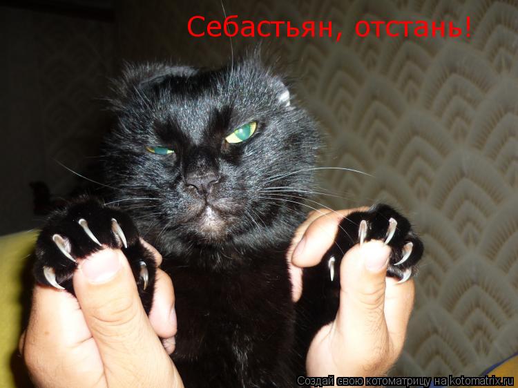 Котоматрица: Себастьян, отстань!