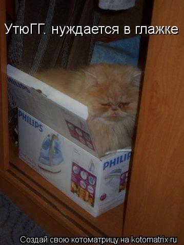 Котоматрица: УтюГГ. нуждается в глажке