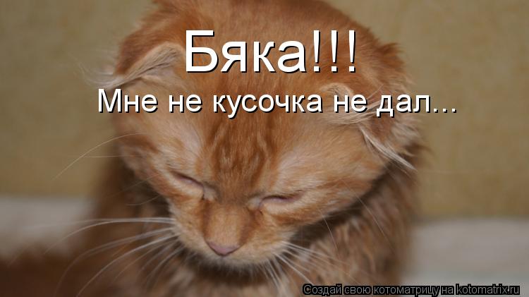 Котоматрица: Бяка!!! Мне не кусочка не дал...
