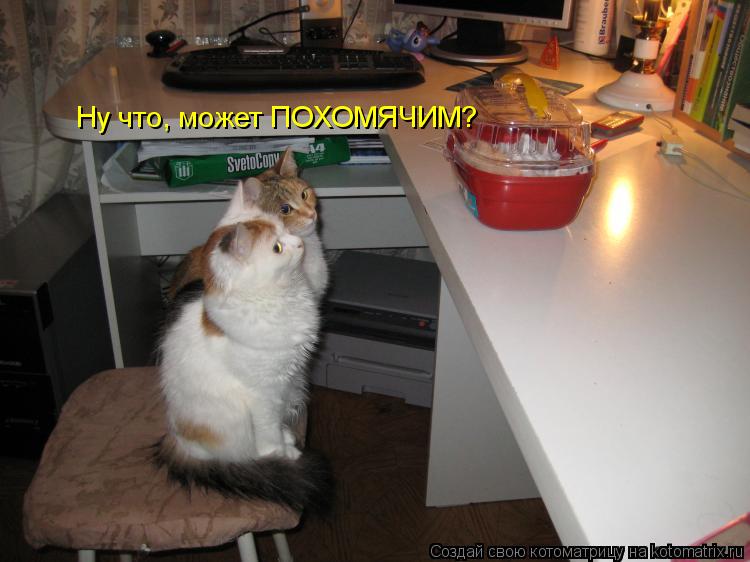 Ну что, может ПОХОМЯЧИМ?... Котоматрица: Ну что, может ПОХОМЯЧИМ?