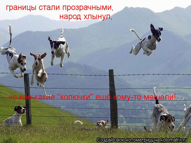 границы стали прозрачными, народ хлынул, но кое-какие "колючки" ещё кому-то мешали!... Котоматрица: границы стали прозрачными, народ хлынул, но кое-какие "колючки" ещё кому-то мешали!