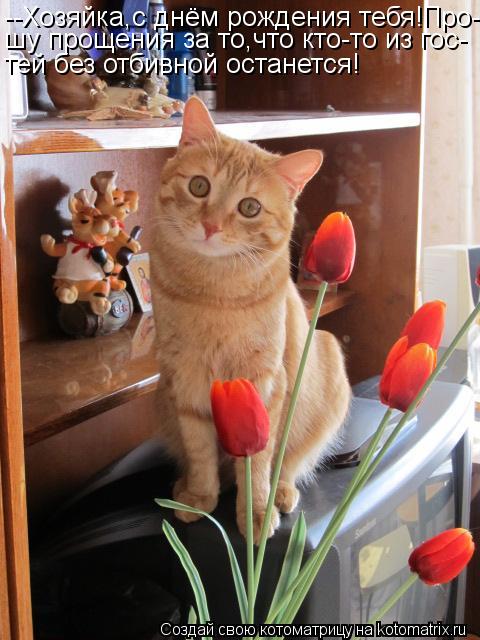 --Хозяйка,с днём рождения тебя!Про- шу прощения за то,что кто-то из гос- тей без отбивной останется!... Котоматрица: --Хозяйка,с днём рождения тебя!Про- шу прощения за то,что кто-то из гос- тей без отбивной останется!