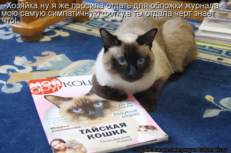 --Хозяйка,ну я же просила отдать для обложки журнала мою самую симпатичную фотку,а ты отдала чёрт зн... Котоматрица: --Хозяйка,ну я же просила отдать для обложки журнала мою самую симпатичную фотку,а ты отдала чёрт знает что!