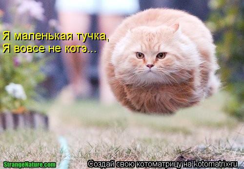 Я маленькая тучка, Я вовсе не котэ...... Котоматрица: Я маленькая тучка, Я вовсе не котэ...