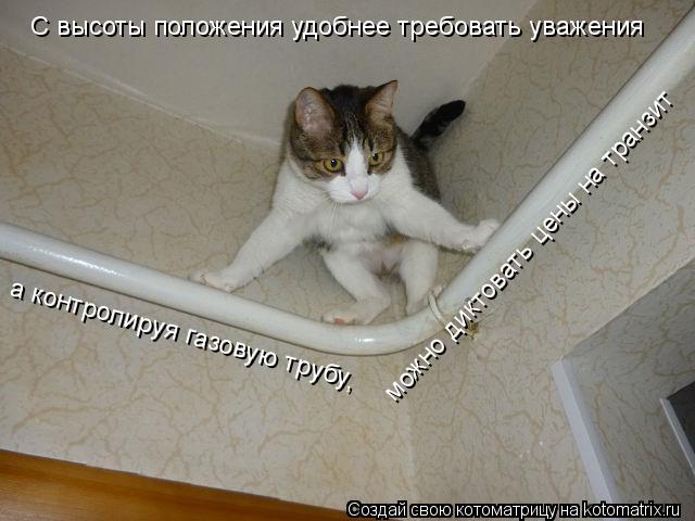 С высоты положения удобнее требовать уважения а контролируя газовую трубу, можно диктовать цены на тр... Котоматрица: С высоты положения удобнее требовать уважения а контролируя газовую трубу, можно диктовать цены на транзит