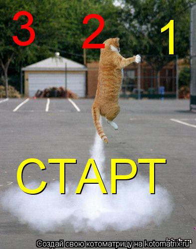 3 2 1 СТАРТ... Котоматрица: 3 2 1 СТАРТ