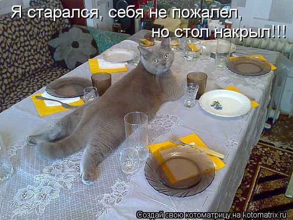 Я старался, себя не пожалел, но стол накрыл!!!... Котоматрица: Я старался, себя не пожалел, но стол накрыл!!!