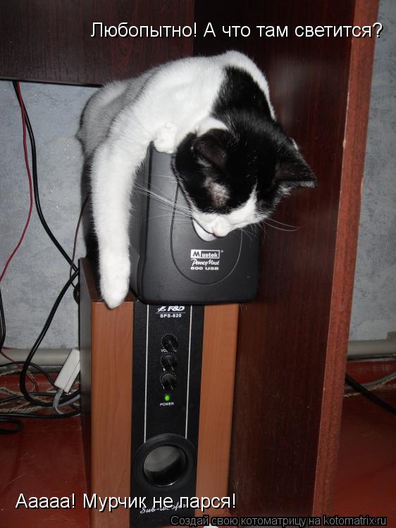 Котоматрица: Любопытно! А что там светится? Ааааа! Мурчик не парся!
