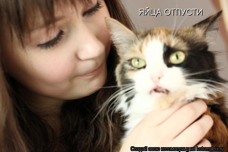 ЯЙЦА ОТПУСТИ... Котоматрица: ЯЙЦА ОТПУСТИ