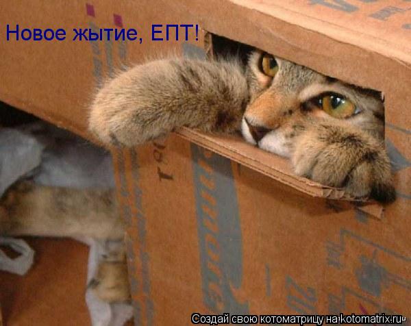Новое жытие, ЕПТ!... Котоматрица: Новое жытие, ЕПТ!