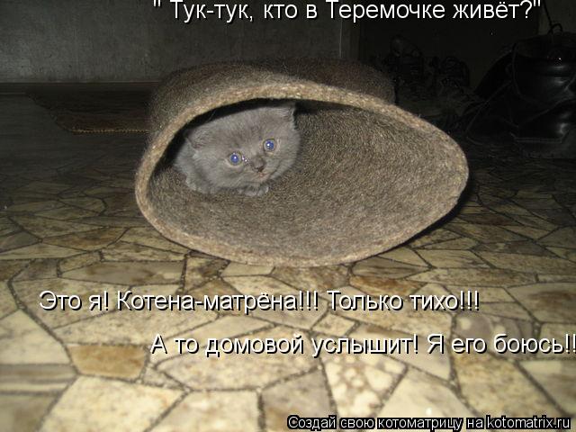 " Тук-тук, кто в Теремочке живёт?" Это я! Котена-матрёна!!! Только тихо!!! А то домовой услышит! Я ег... Котоматрица: " Тук-тук, кто в Теремочке живёт?" Это я! Котена-матрёна!!! Только тихо!!! А то домовой услышит! Я его боюсь!!!