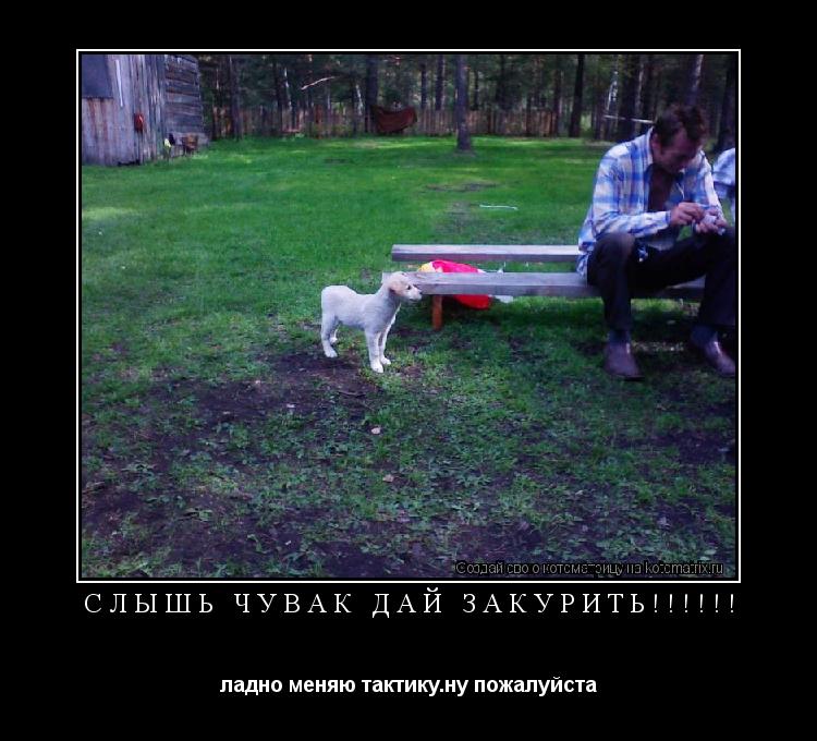 Котоматрица: слышь чувак дай закурить!!!!!! ладно меняю тактику.ну пожалуйста