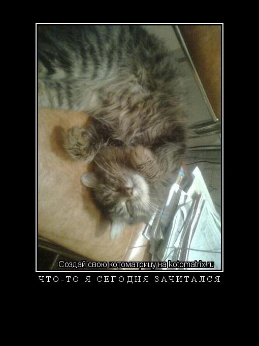 ... Котоматрица: